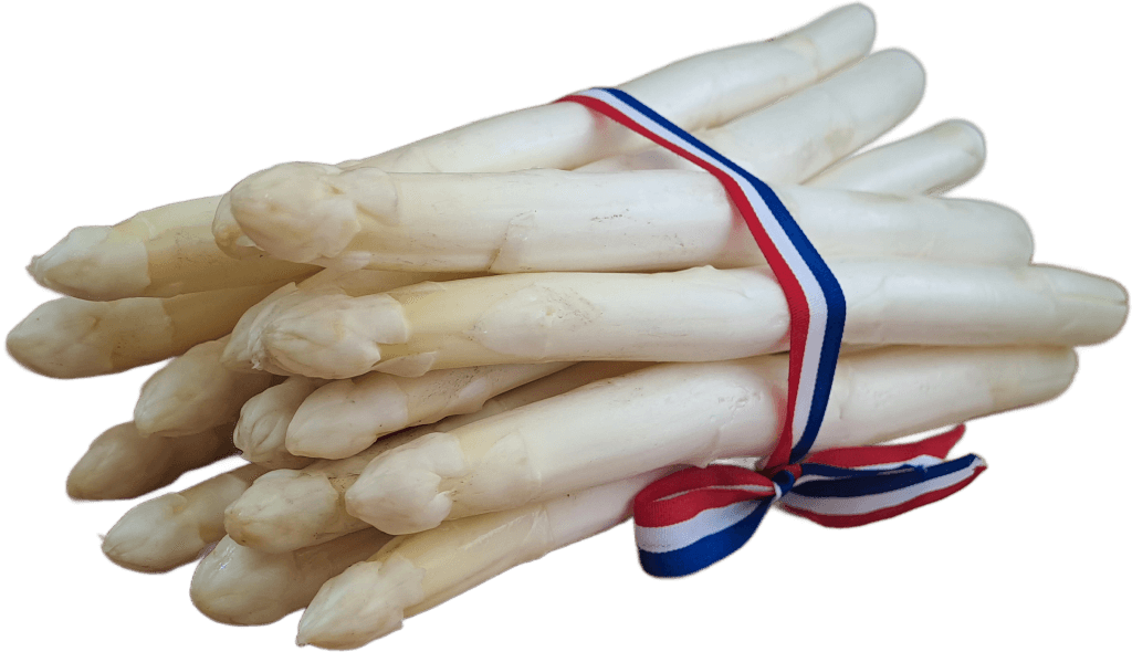 Gebundelde asperges